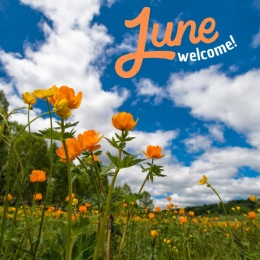 Instagram post from @altitudeapartments1620 on June 01, 2024 12:01:45pm Instagram post from @altitudeapartments1620 on June 01, 2024 12:01:45pm